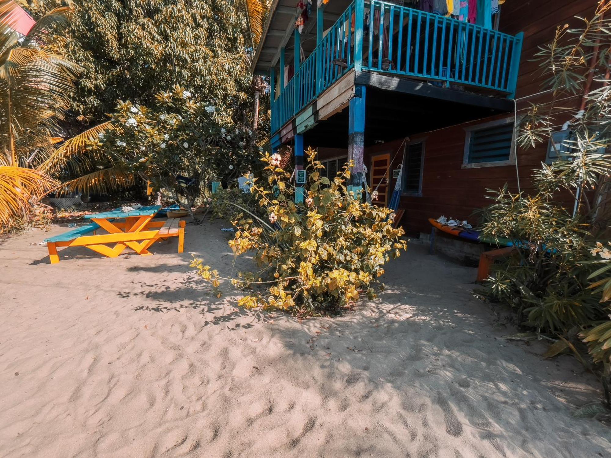 Anda Di Hows Hostel Placencia Kültér fotó