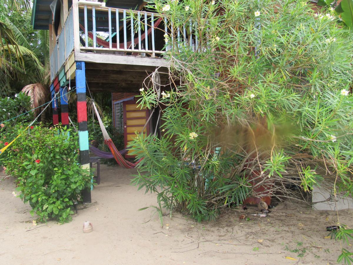 Anda Di Hows Hostel Placencia Kültér fotó